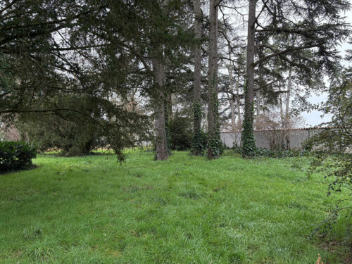 https://maisons-jbm.com/wp-content/uploads/2025/05/57792437b.jpg